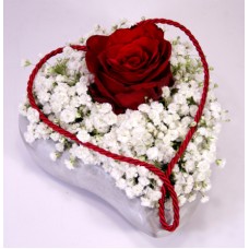 To my only one M
